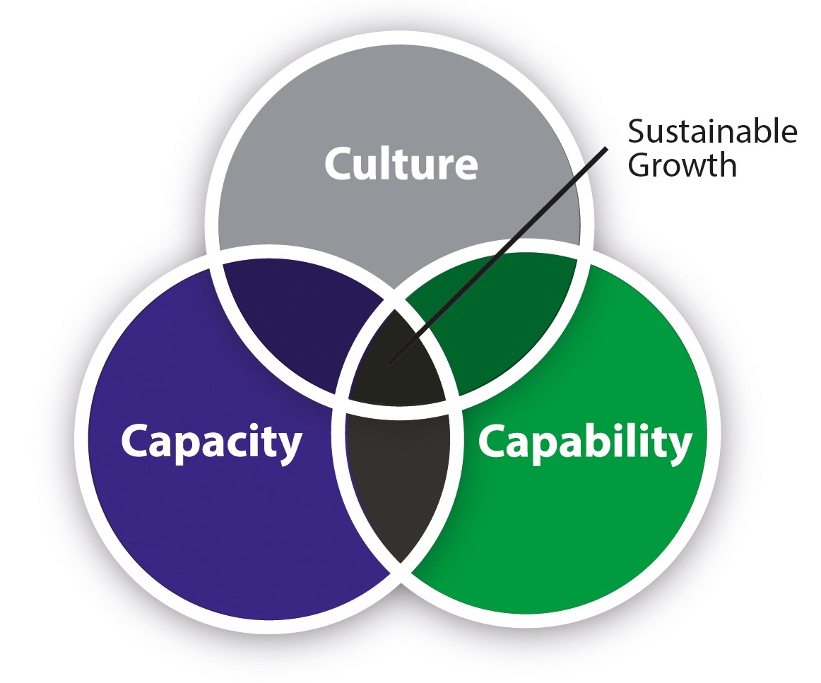 The 3 Biggest Leadership Challenges Of Fast Growth Companies