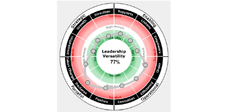 An image of Antoinette Oglethorpe's favourite 360 Degree Feedback Tool, the LVI index