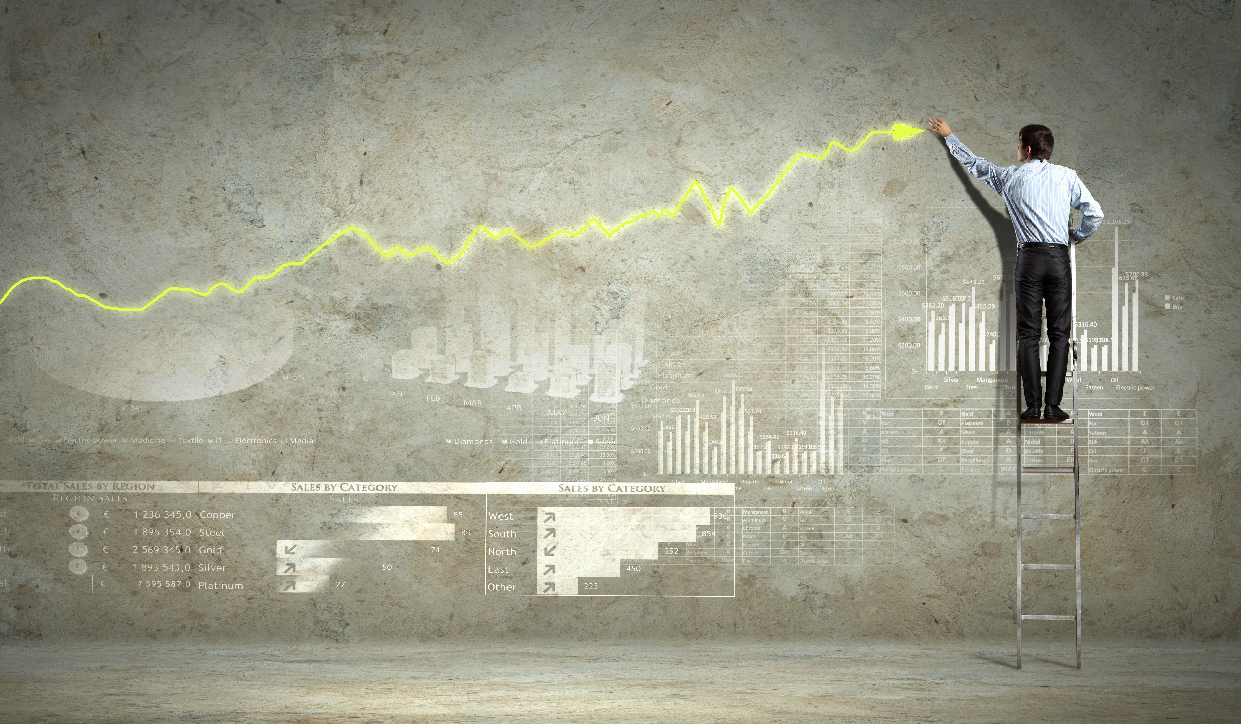 Career development plan