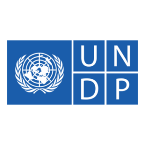 The image displays the United Nations Development Programme (UNDP) logo, featuring a world map surrounded by olive branches and the letters "UNDP" in white on a blue background.
