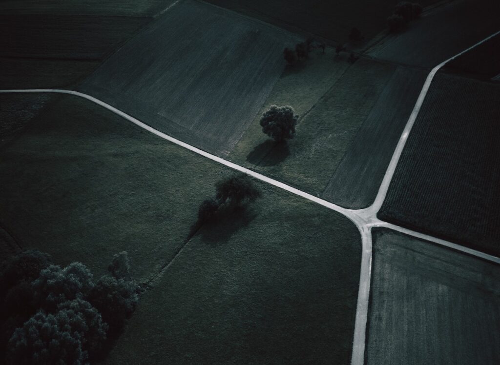 Aerial view of intersecting country roads dividing green and dark farmland, with a few scattered trees casting long shadows—symbolising a career development journey through varied landscapes.