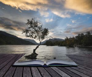 An open book lies on a wooden jetty by a lake at sunset, with its pages transforming into water and a tree growing from the book, blending imagination and nature.