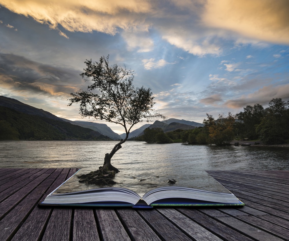 An open book lies on a wooden jetty by a lake at sunset, with its pages transforming into water and a tree growing from the book, blending imagination and nature.